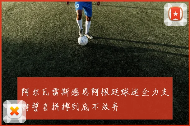 阿尔瓦雷斯感恩阿根廷球迷全力支持誓言拼搏到底不放弃