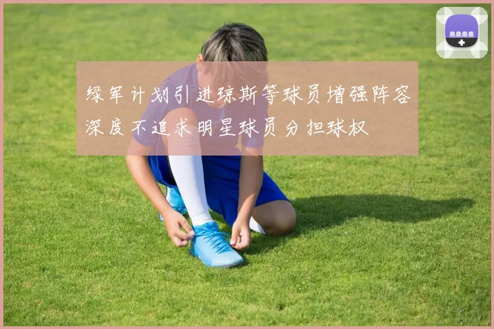 绿军计划引进琼斯等球员增强阵容深度不追求明星球员分担球权